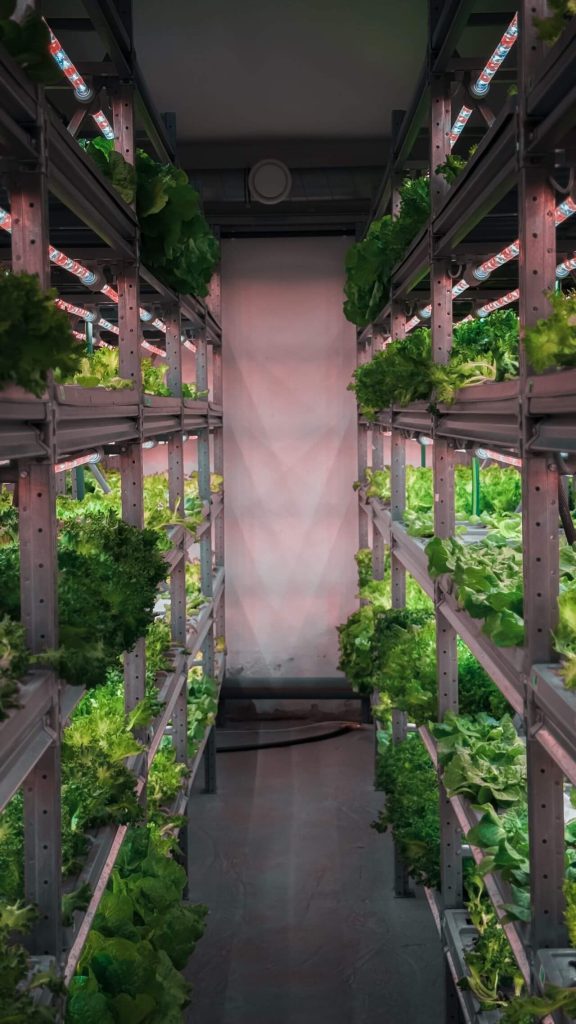 Indoor Farming HVAC