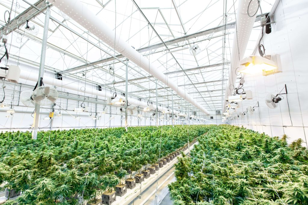 Commercial Grow Room HVAC
