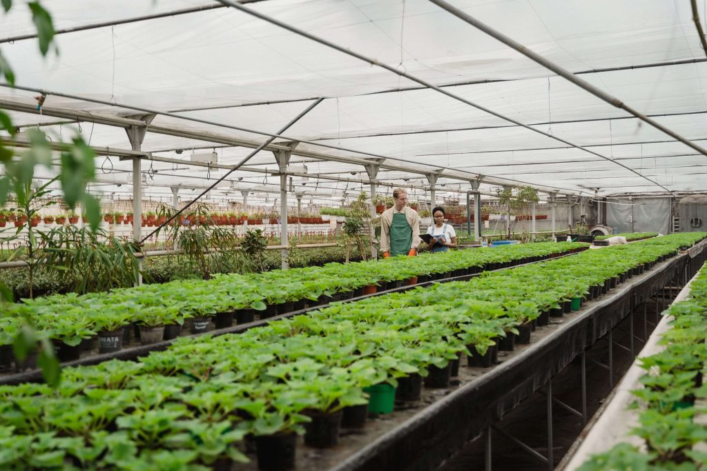 Controlled Environment Agriculture HVAC